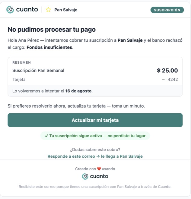 Correo al cliente titulado «No pudimos procesar tu pago», con el motivo del rechazo y el botón Actualizar mi tarjeta.